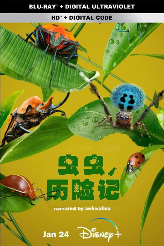 虫虫历险记 剧照1