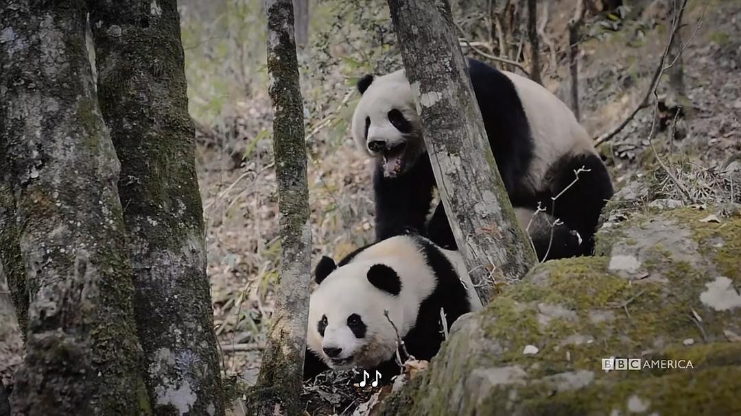 中国:大自然的古老王国 第一季 剧照3