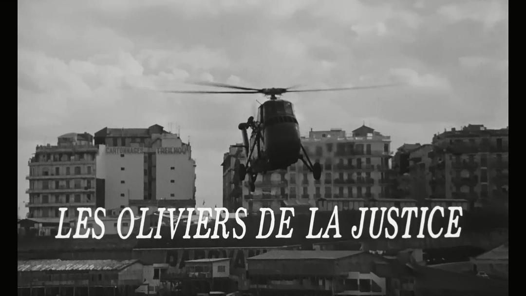 正义的橄榄树 剧照1