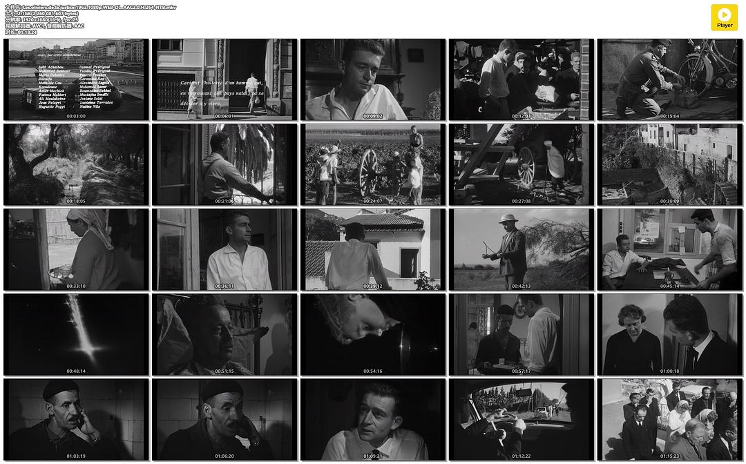 正义的橄榄树 剧照2