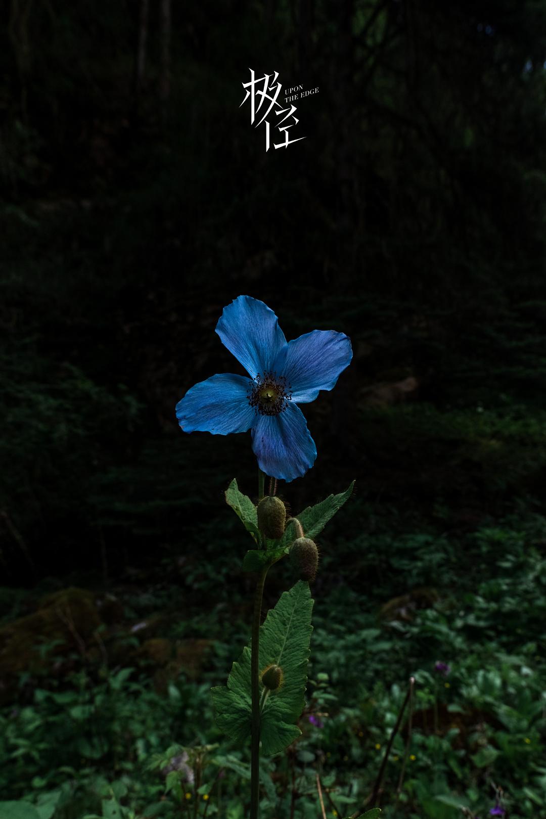极径 剧照6