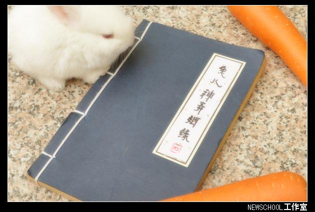 戏说台湾之兔儿神弄姻缘 剧照9