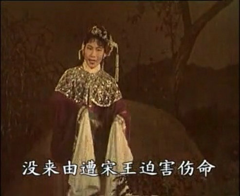 相思树 剧照1