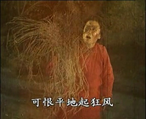 相思树 剧照4