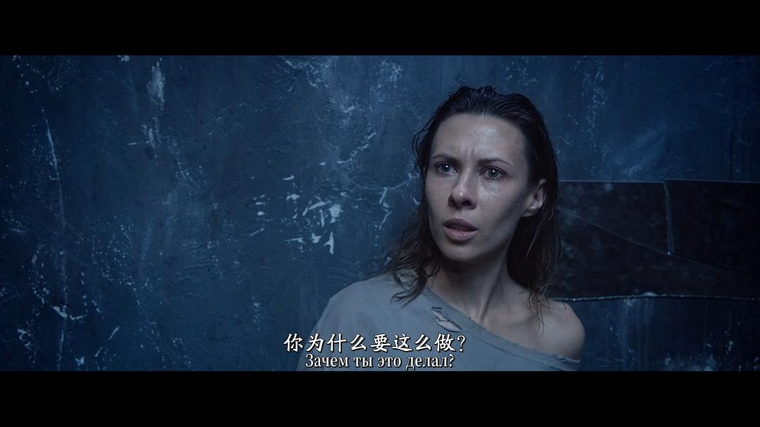 格林伯格的地下室 剧照2