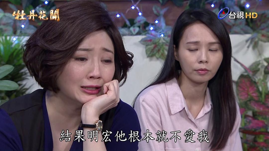 牡丹花开 剧照1