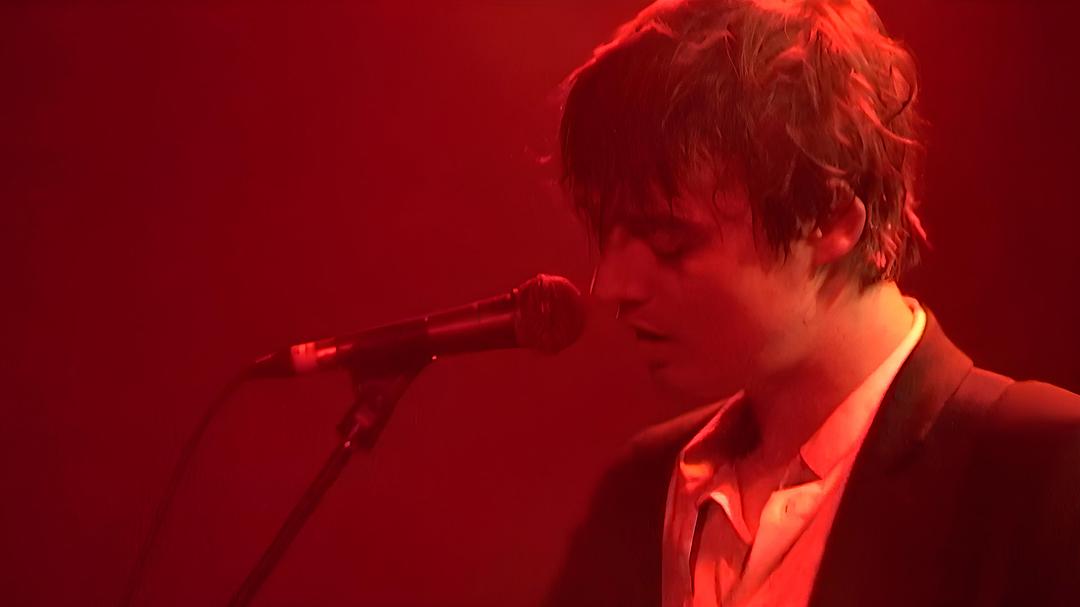 Peter Doherty:Stranger in My Own Skin 剧照2