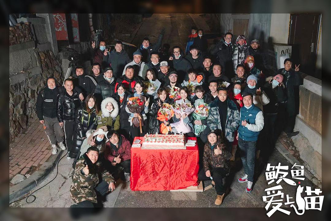 鲅鱼爱上猫 剧照5