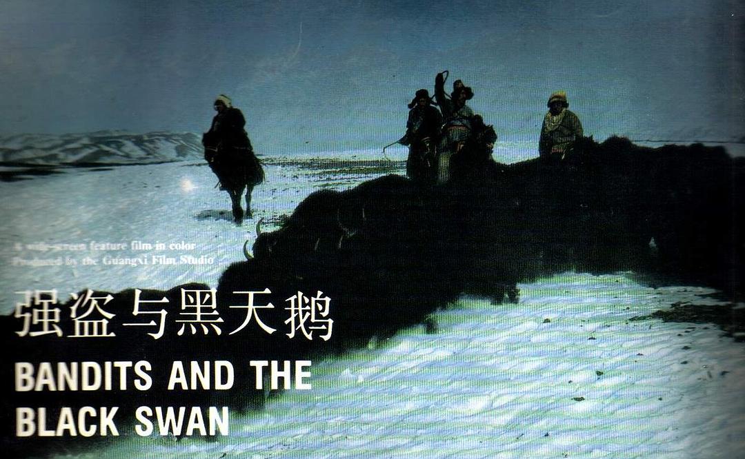 强盗与黑天鹅 剧照2