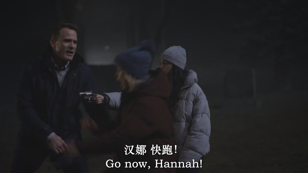 一个坏苹果:汉娜·斯文森之谜 剧照2