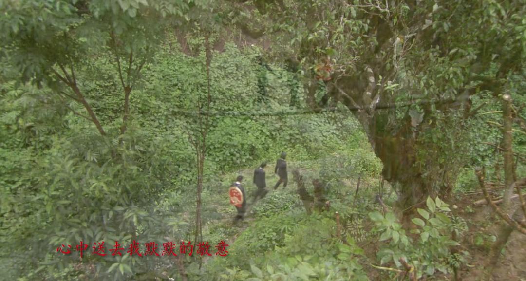 茶乡法官 剧照1