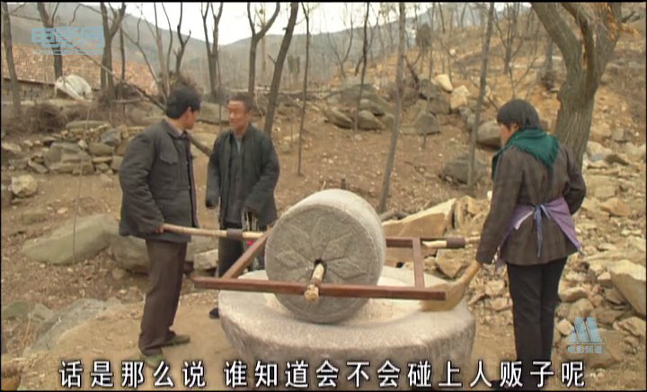 法官老张轶事之审牛记 剧照1
