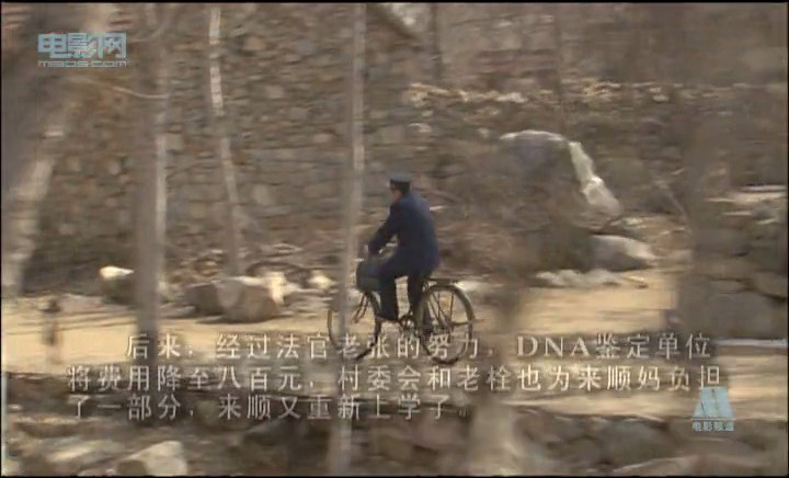 法官老张轶事之审牛记 剧照5