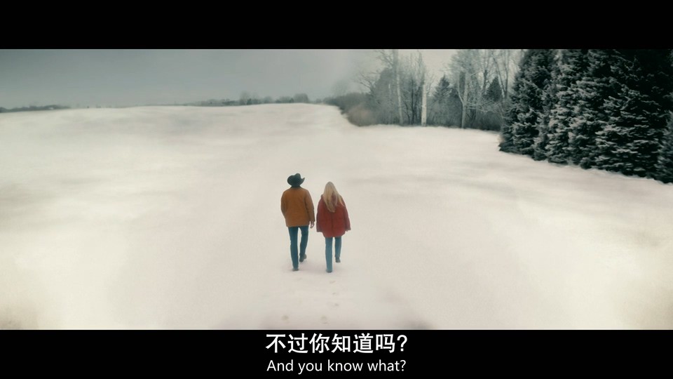 猫头鹰市中心 剧照1