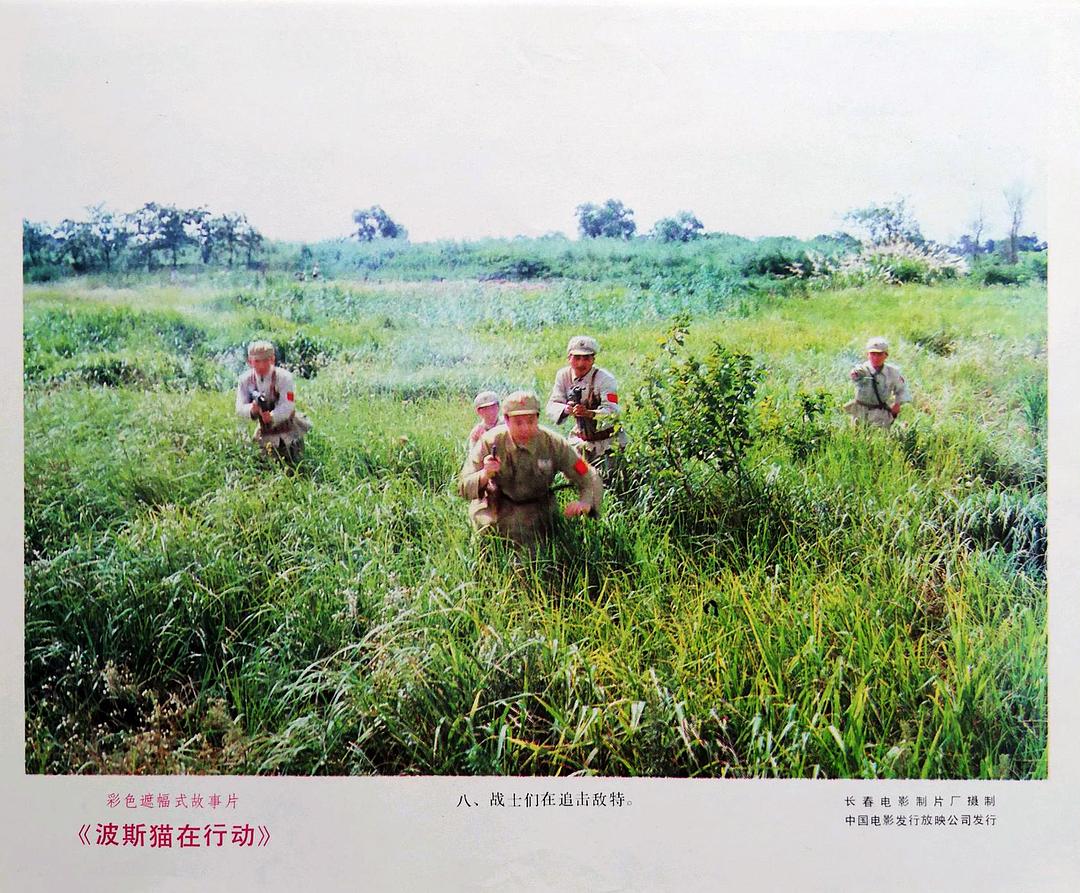 波斯猫在行动 剧照1