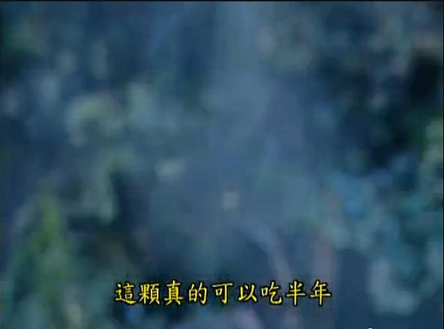 霹雳兵燹之刀戟戡魔录 第二季 剧照9