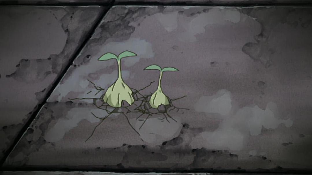 灰羽联盟 剧照6