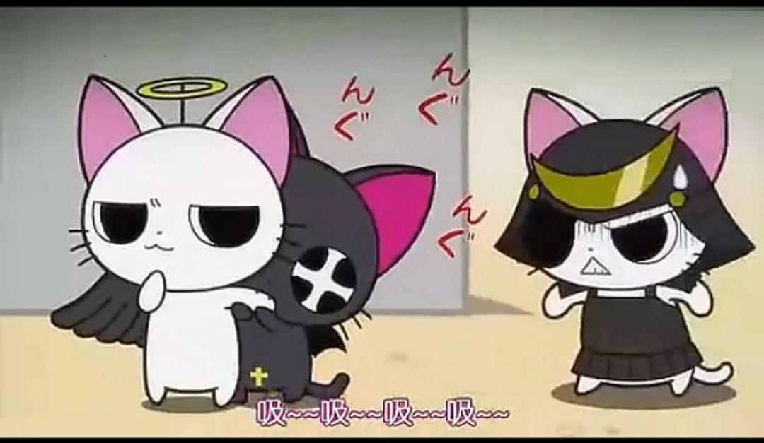 吸血猫 剧照2