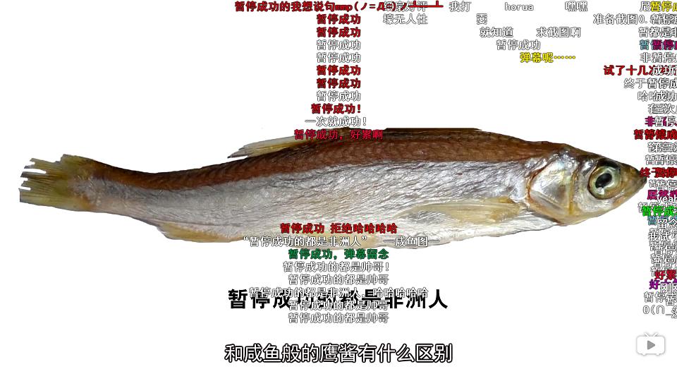 那年那兔那些事儿 第二季 剧照3