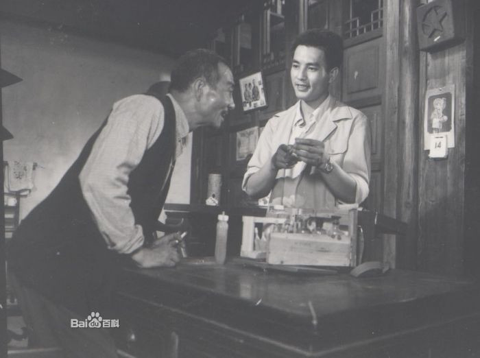 飞来的女婿 剧照9