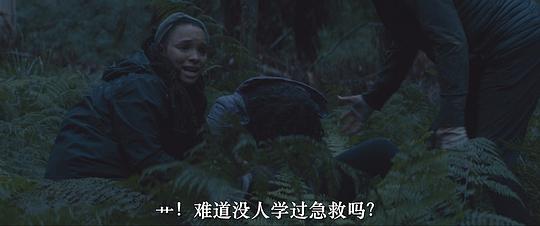 自然之力:小镇缉凶2 剧照1
