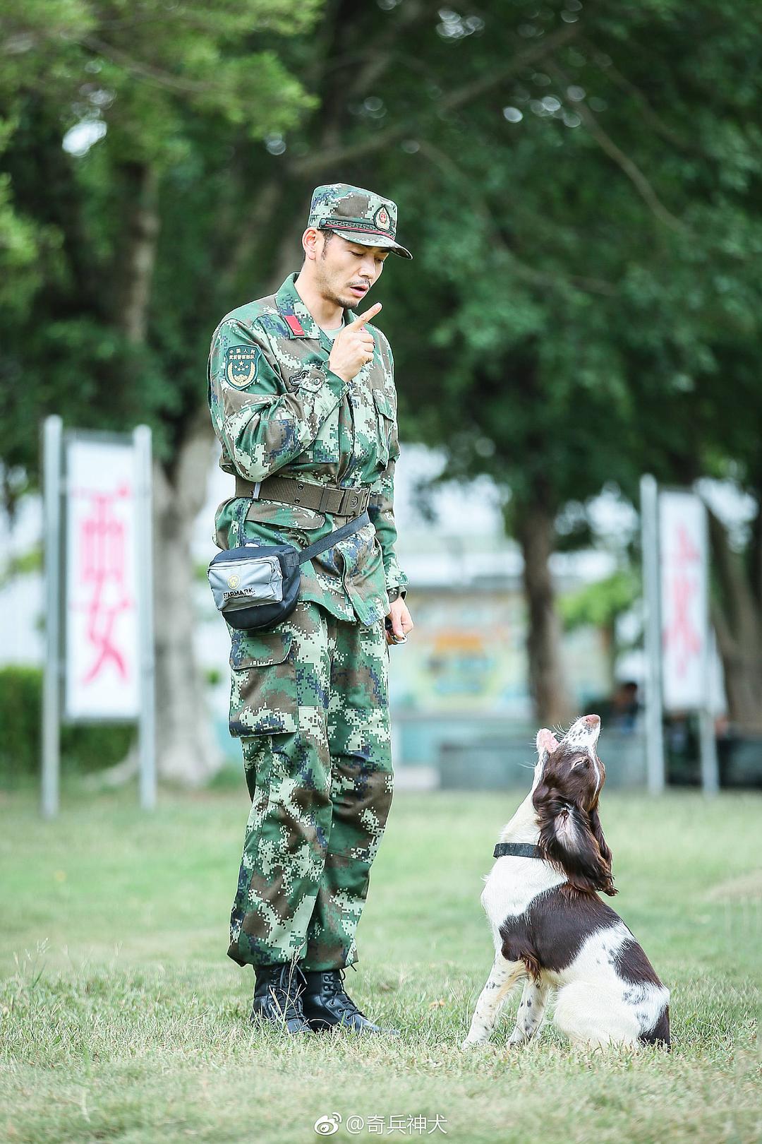 奇兵神犬 剧照1