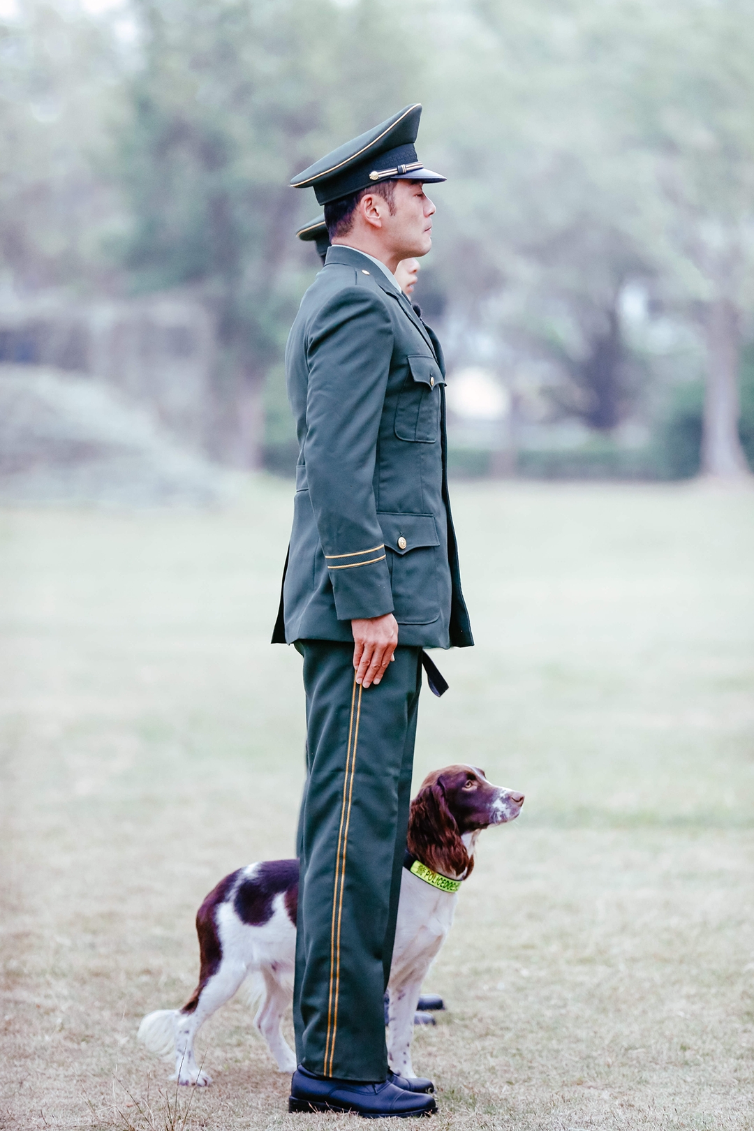 奇兵神犬 剧照2