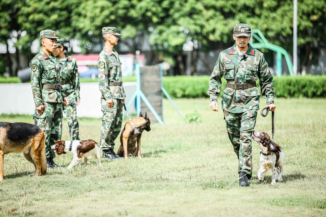 奇兵神犬 剧照4