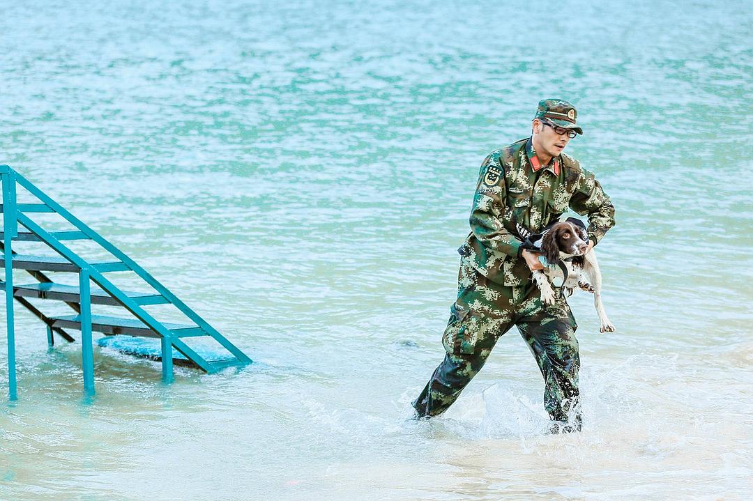 奇兵神犬 剧照5