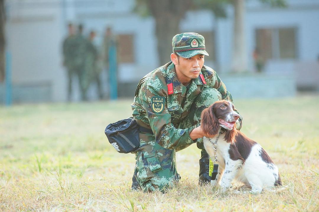 奇兵神犬 剧照10