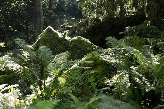 决胜荒野 第二季 剧照6