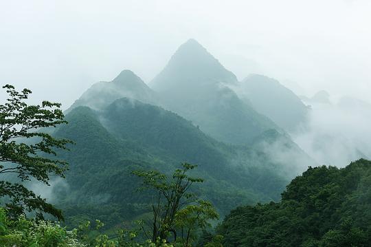 决胜荒野 第二季 剧照10