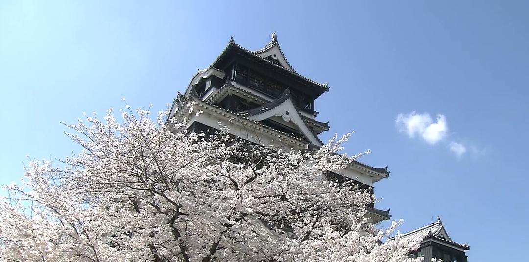 与熊本熊的熊本相遇之旅 剧照5