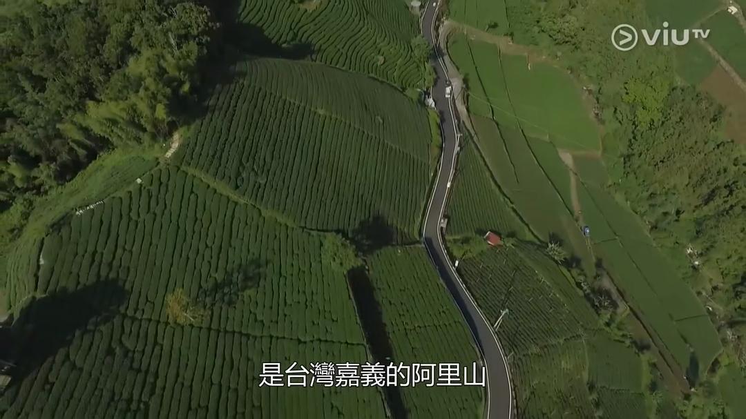 台湾山步行 剧照1