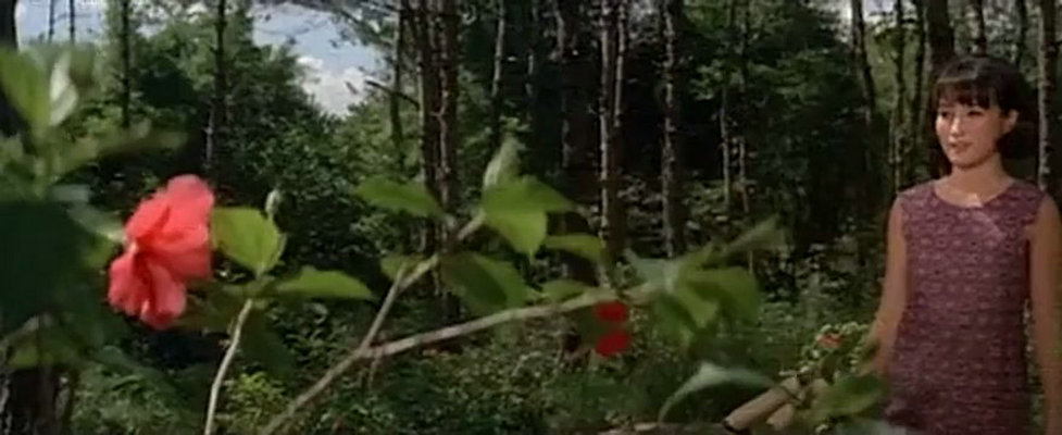 虹 剧照3
