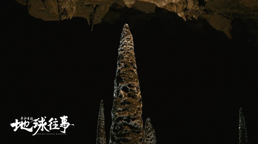 寻秘自然:地球往事 剧照3