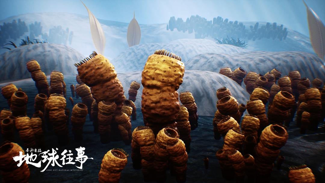 寻秘自然:地球往事 剧照4
