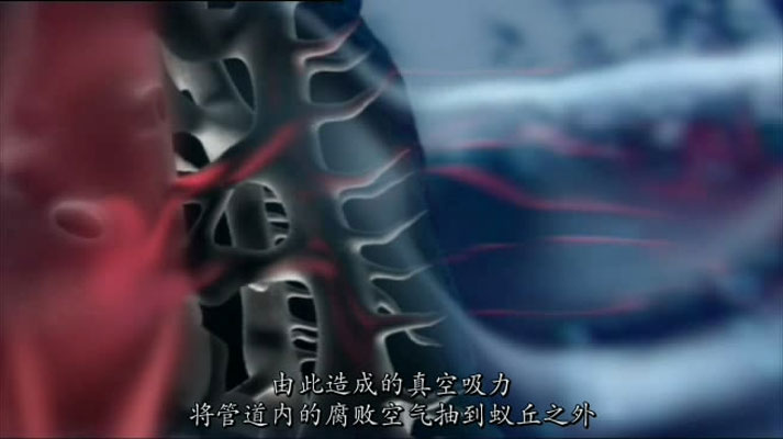 灌丛下的生命 剧照10