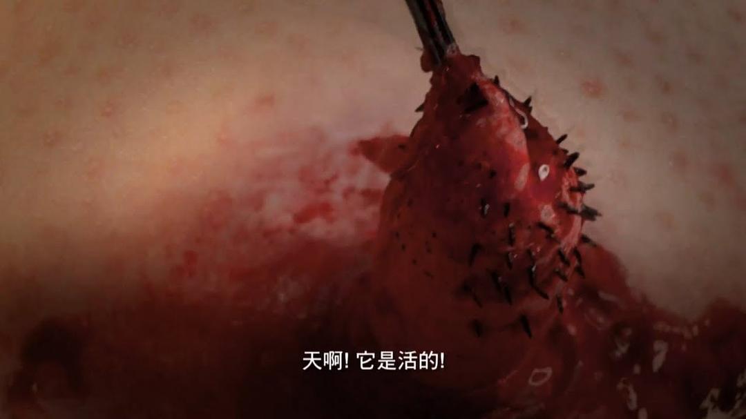 体内的怪物 第七季 剧照1
