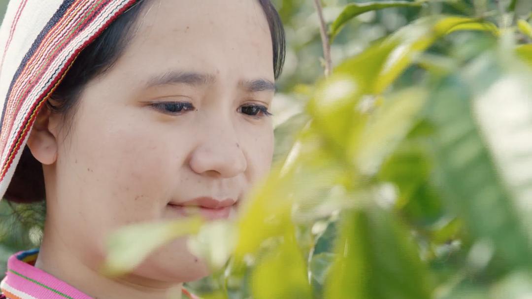 茶界中国 剧照9