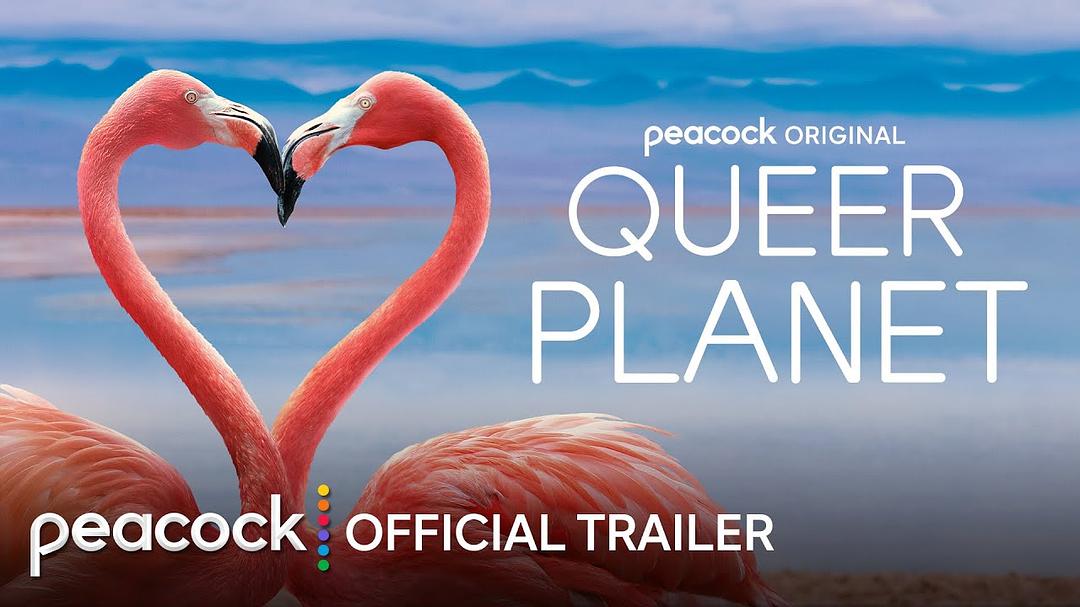 Queer Planet 剧照3