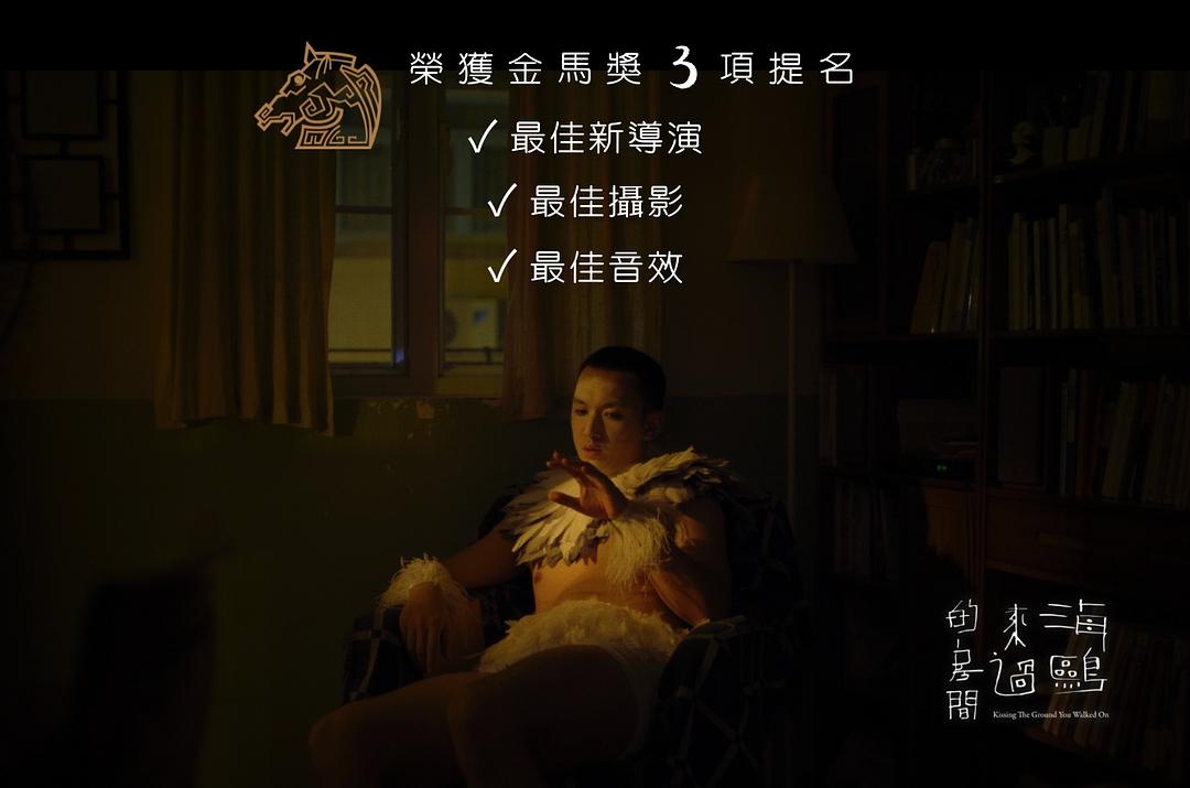 海鸥来过的房间 剧照2