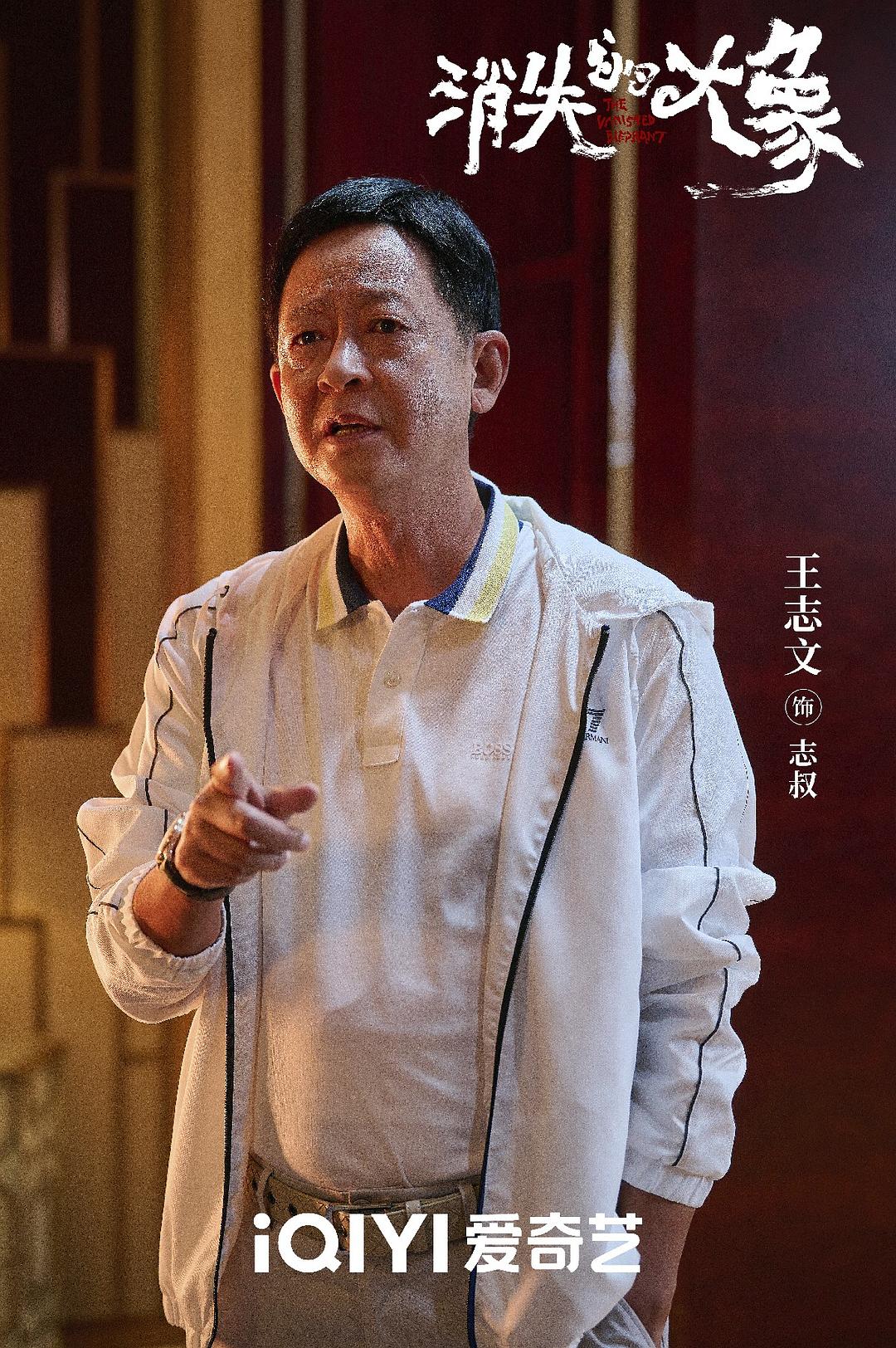 消失的大象 剧照1