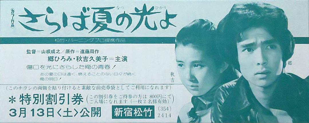 再见,夏日之光 剧照2