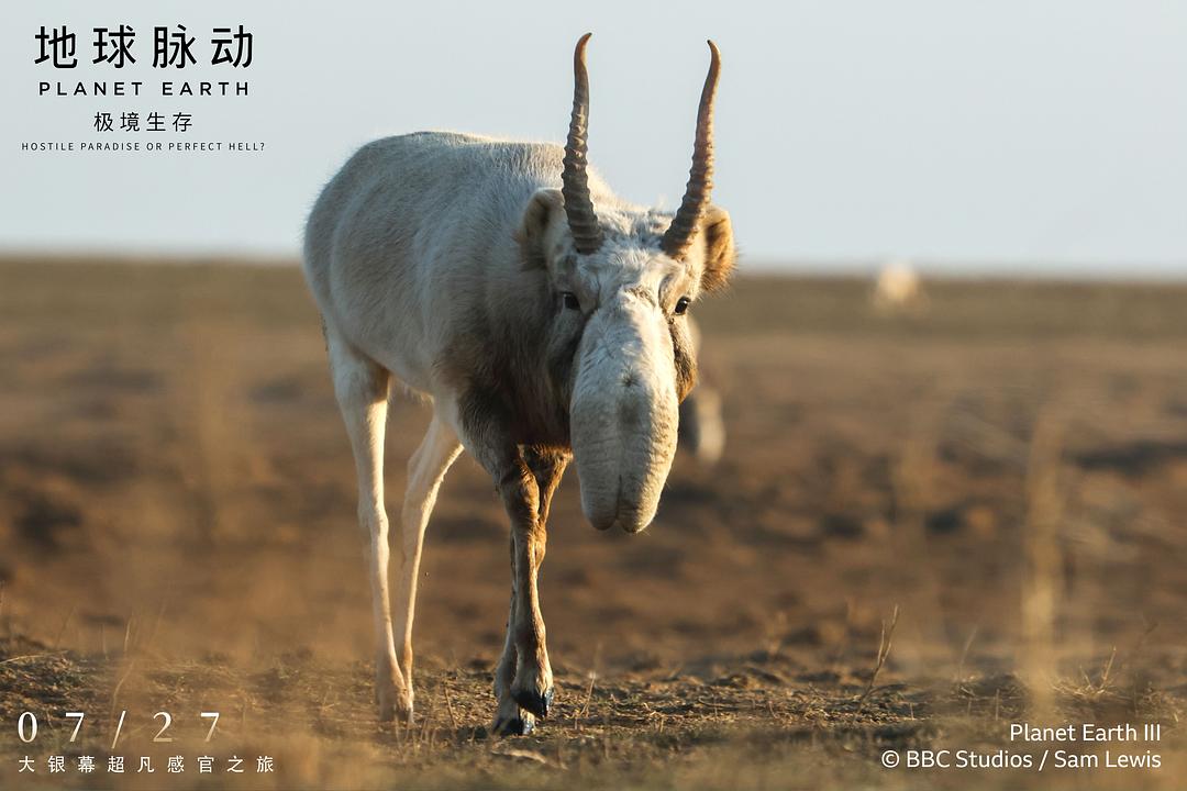 地球脉动:极境生存 剧照3