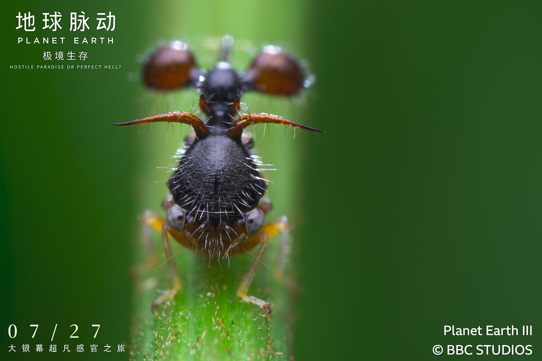 地球脉动:极境生存 剧照6