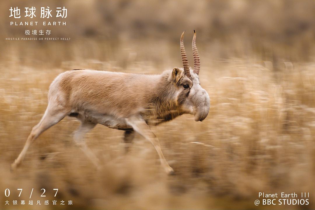 地球脉动:极境生存 剧照7