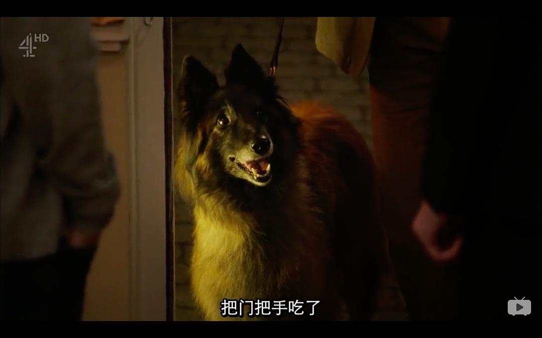 星期五晚餐 第四季 剧照1
