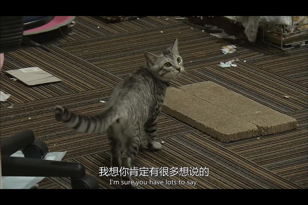 风之电话向逝去的亲人低语 剧照6