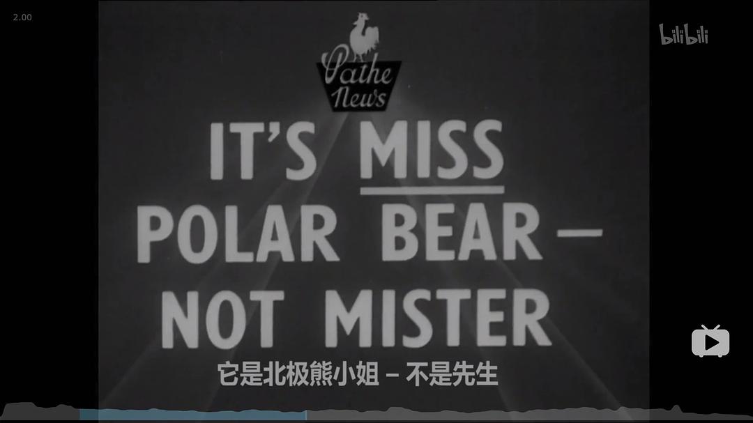 北极熊宝宝 剧照1